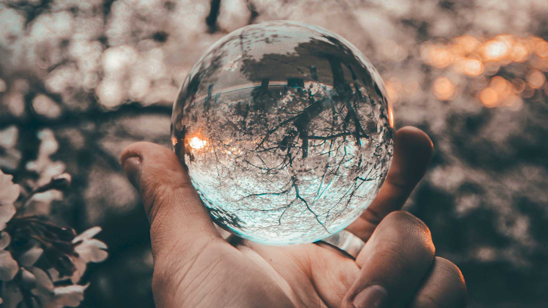 Manos con bola de cristal